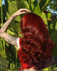 @biavilhena7 Deep Rich Red Hair Color, Poison Ivy Red Hair, Merida Hair Color, Bright Red Hair Black Women, Dark Orange Red Hair, Maroon Red Hair, Rich Red Hair