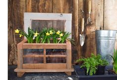 some potted plants are sitting in front of a wooden wall