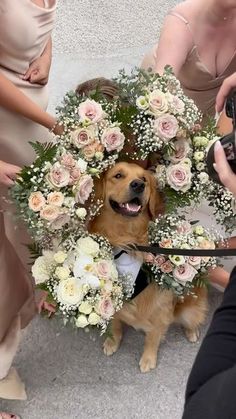 a dog is surrounded by flowers and greenery as people take pictures with their phones