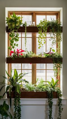 the window sill is filled with plants and greenery