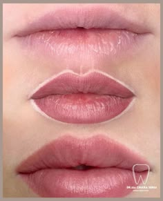 Lip Tattoo Makeup, Tv Makeup Looks, Lip Blush Permanent Makeup, Semi Permanent Lip Blush, Natural Lip Tattoo, Natural Lip Blushing, Lip Blush Color Chart, Naturally Red Lips, Lip Tattoo Cosmetic