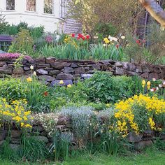 the garden is full of flowers and rocks