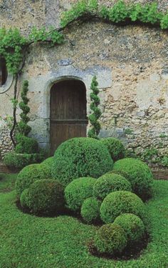 a stone building with a wooden door surrounded by green bushes