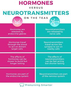 two different types of neurotransmitters