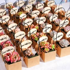 kraft-paper-succulent-favors-with-colorful-succulents Plant Wedding Favors For Guests, Sage Party Favors, Plant Gifting Ideas, Succulent Packaging, Plant Party Favors, Plant Giveaway, Wedding Giveaway Ideas, Cactus Gift Ideas, Plants Gift Ideas