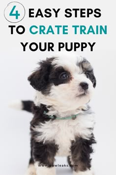 a black and white puppy with the words 4 easy steps to crate train your puppy