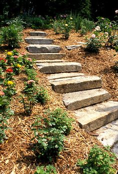 the steps are made of stone and have flowers growing on each side, along with other plants