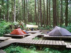 there are many tents in the woods with wooden steps leading up to them and one tent is on the ground