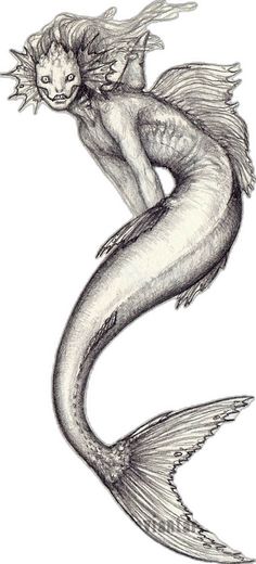 a drawing of a mermaid sitting on the back of a fish with its tail curled up