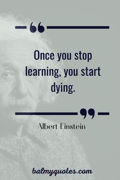 albert einstein quote about learning to stop learning, you start dying on gray background with black and white border