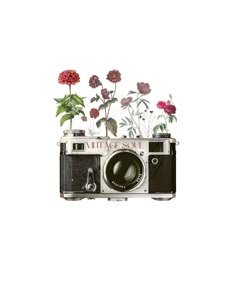 an old camera with flowers growing out of it