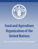 the food and agriculture organization of the united nations for a world without hungry people cover image