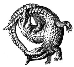 a drawing of an alligator with its mouth open and it's tail curled up