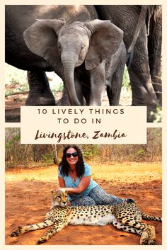 a woman sitting on the ground with an elephant and cheetah in front of her