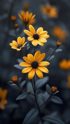 some yellow flowers are in the middle of black and white background, with leaves around them