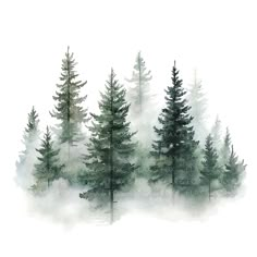 watercolor painting of pine trees in the fog