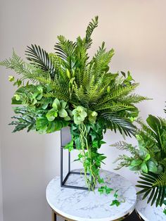 two plants are sitting on a marble table