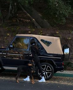 a woman standing next to a dog in front of a black suv with a tan roof