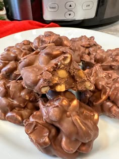 some chocolate cookies on a white plate with an instant pressure cooker in the background