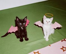 two small kittens sitting next to each other on a green blanket with pink wings