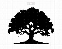 a black and white silhouette of a tree with the words royce on it's side