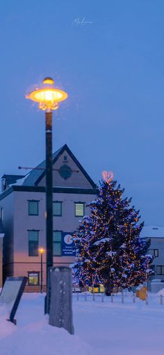 a lit up christmas tree in the middle of a snow covered field with buildings behind it