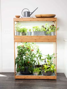 a wooden shelf filled with potted plants on top of a hard wood floor next to a white wall