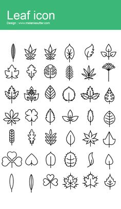 the leaf icon set is shown in black and white, with different leaves on it