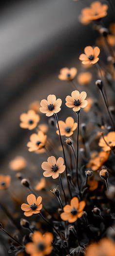 some yellow and black flowers are in the dark