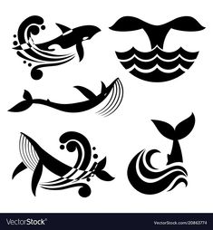 different types of whales and dolphins in black ink on white paper with water waves