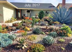 a house with many different types of plants in front of it and landscaping around the house