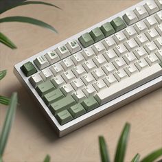 a computer keyboard sitting on top of a wooden table next to some green plant life