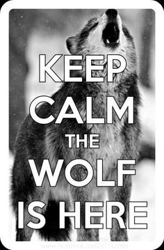 a wolf with its mouth open and the words keep calm, the wolf is here