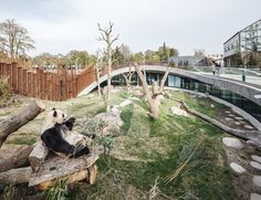 a panda bear sitting on top of a tree stump in a zoo enclosure next to a walkway