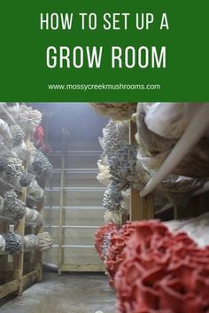 a room filled with lots of items and text overlay that reads how to set up a grow room