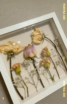 dried flowers are displayed in a white frame