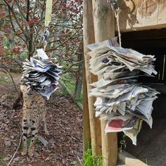 a cat standing next to a pile of newspapers on top of a wooden pole in front of a tree