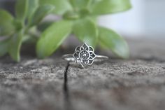 a silver ring sitting on top of a piece of wood next to a green plant