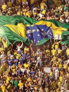 a large group of people holding flags and signs in front of a crowd at a soccer game