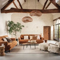 a living room with two couches, chairs and a tree in the middle of it