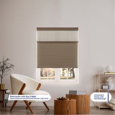 a living room scene with focus on the blinds