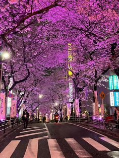 people are walking down the street in front of purple trees with bright lights on them