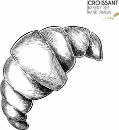 an illustration of a croissant hand drawn in black and white ink on a white background