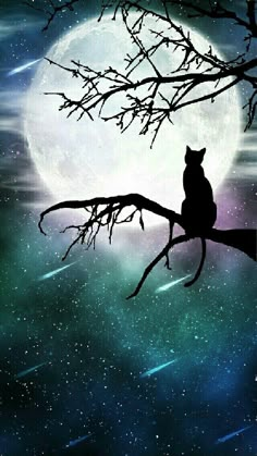 an owl is sitting on a tree branch in front of the full moon and stars