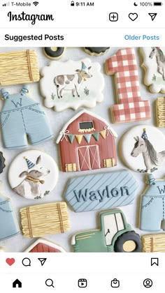 an instagram page with decorated cookies and other items on the cover, including farm animals