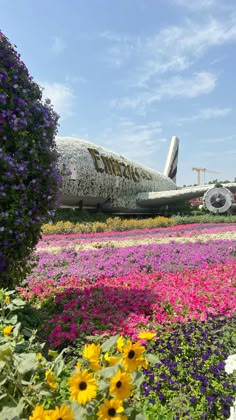 an airplane is parked on the runway surrounded by colorful flowers and plants in front of it