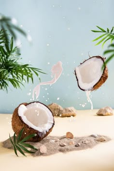 two coconuts falling into the sand with palm leaves and rocks in the foreground