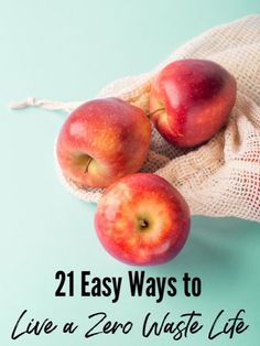 Easy Zero Waste Tips - Waste comes in all forms and costs millions each year! Use these easy ways to live a zero waste lifestyle to help save money and live simpler! #simpleliving #selfsufficient #simplelife #simplelifehacks #zerowaste #zerowasteliving #zerowastelifestyle #zerowastekitchen #wastefreeliving #reducereuserecycle #frugal #frugalliving #frugaltips #frugality #savemoney #savemoneytips #waystobefrugal #waystosavemoney Homemade Grout Cleaner, Wrapped Smokies, Waste Free Living, Homemade Deodorant, Help Save Money, Zero Waste Kitchen, Reducing Waste, Homemade Soap Recipes, Zero Waste Living