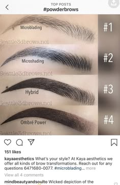 Brow Shading Tattoo, Combination Brows Microblading, Brow Tattoo Permanent Makeup, Micro Shading Eyebrows, Phi Brows Microblading, Eyebrow Patterns, Combo Brows Microblading, Combination Brows