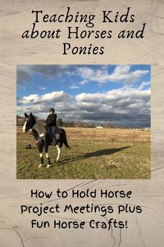 Share your love of horses by leading a horse project. Easy Horse Crafts, Equine Assisted Therapy, Horse Projects, Horse Lead, 4 H Club, Horse Camp, Horse Crafts, Lesson Plan Ideas